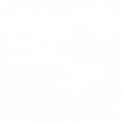 Red & Black Car Seat Covers